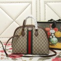 Gucci Ophidia Bag GC00513
