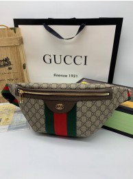 Gucci GG Canvas Belt Bag GC02173