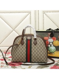 Gucci Ophidia Bag GC00513